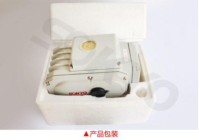 電動執行機構,YTDG-RKB200電動執行器,電動頭產品包裝2